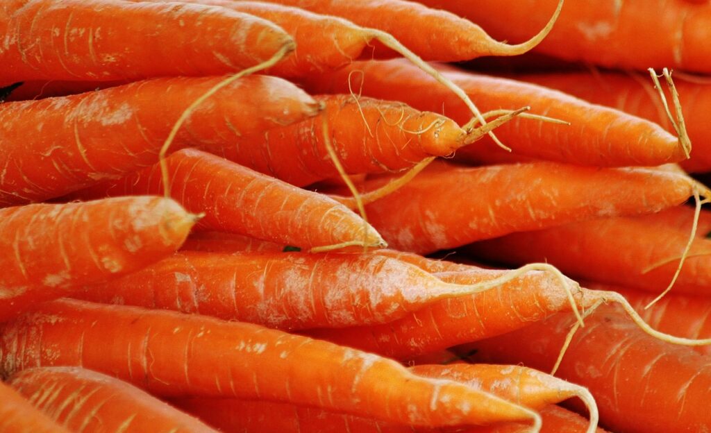 Czy jedzenie marchewki poprawia wzrok