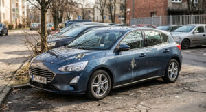 czy ptasie odchody niszczą lakier