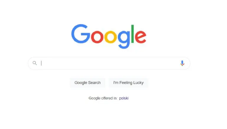 Wyszukiwarka google